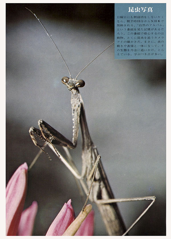 「日本写真学園入学案内パンフレット」