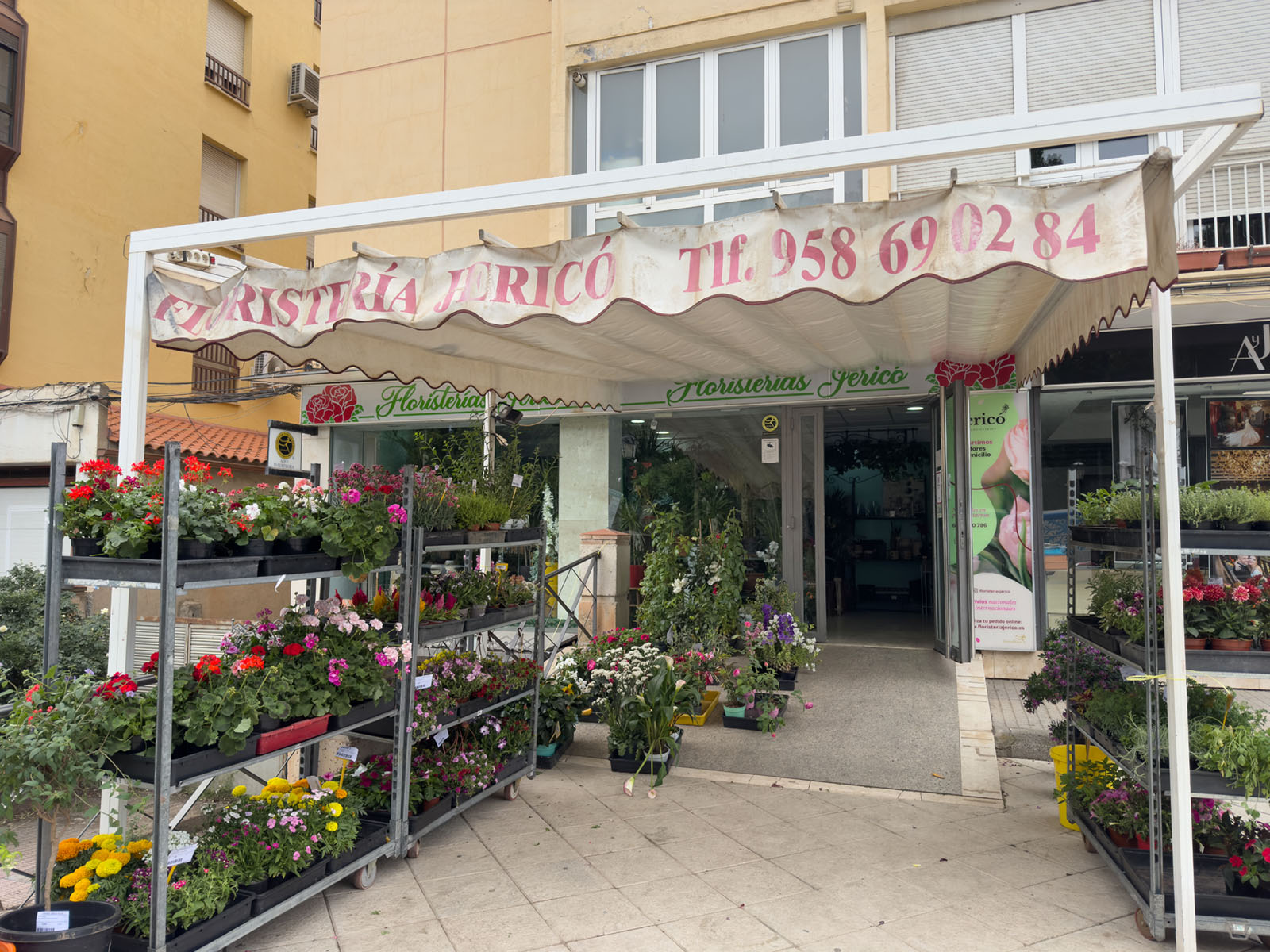 グァディックスの花屋
