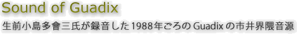 生前小島多會三氏が録音した1988年ごろのGuadix の市井界隈音源