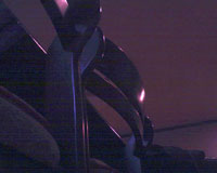 Cat Cam / キャットカム