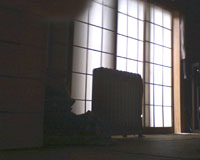 Cat Cam / キャットカム