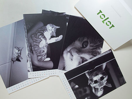 トロットのカレンダー