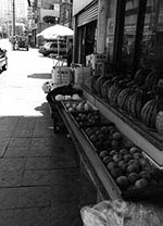 笹山明日香：槿花の咲く町/Asuka Sasayama:Un pueblo floreciente