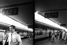 笹山明日香：槿花の咲く町/Asuka Sasayama:Un pueblo floreciente