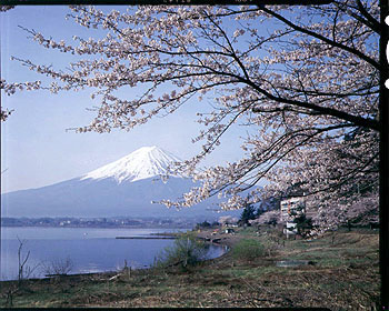 Paisajes japoneses