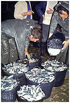 Mercado de pescado de Málaga