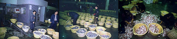 Mercado de pescados de Hong Kong