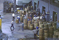 Mercado de pescados de Hong-Kong