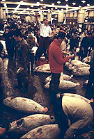 Mercado de Tsukiji