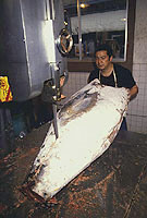 Mercado de Tsukiji