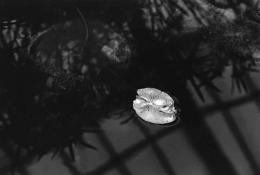 “混合蔬菜”