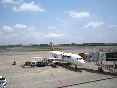 タイガーエア